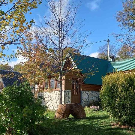 Family Farm Bungalow Žabljak Εξωτερικό φωτογραφία